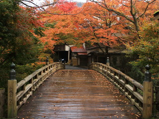 Fototapeta na wymiar こおろぎ橋と紅葉　石川県　山中温泉　日本