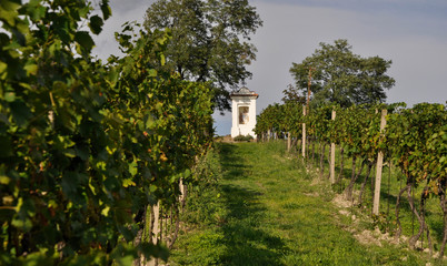 Fototapeta na wymiar chapel in vineyard