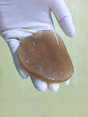 Bacterial cellulose boiled by NaOH  
