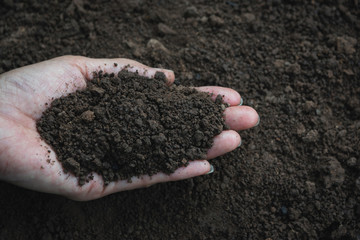 Closeup hand of person holding abundance soil for agriculture or planting peach.