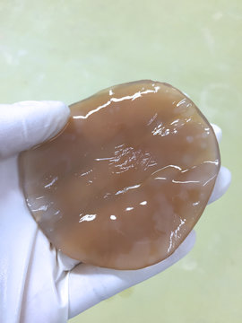 Bacterial cellulose boiled by NaOH  