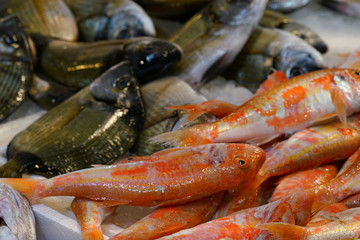 central market in Athens