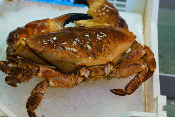 central market in Athens