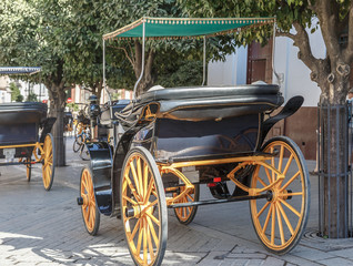 Traditional carriage near of the Cathedral  in Seville, Andalusia