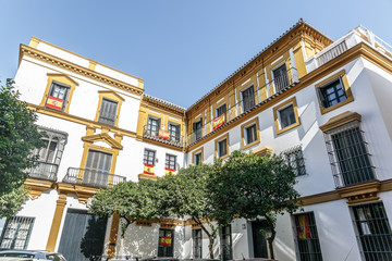 Facade of the typical architecture of the city of Seville