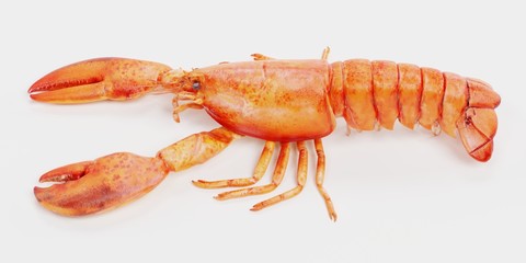 Realistic 3D Render of Cooked Lobster