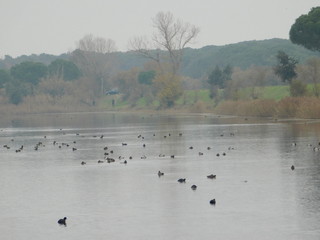 lago in autunno