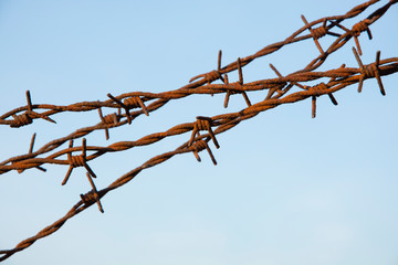 Barbed Wire Fence on a Clear Sky