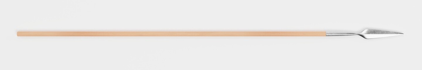 Realistic 3d Render of Viking Spear