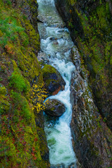 waterfall in forest  Natural Forest , Seattle ,Washington State