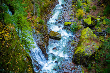 waterfall in forest  Natural Forest , Seattle ,Washington State