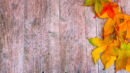 Naklejka na ściany i meble Autumn leafs, background