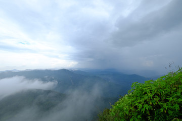 View of clouds over top of green mountains with foreground of fresh bush