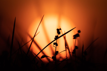 Obraz premium Sunset & shadow