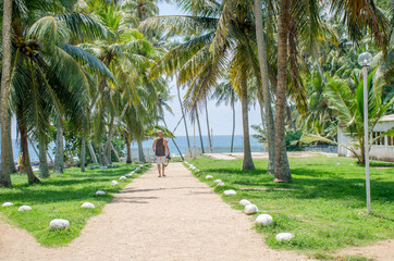 Obraz premium The tropical landscape of people goes along the road with palm trees in Sri Lanka
