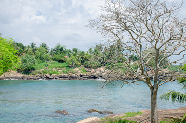 Tropical landscape the gulf of the Indian Ocean in Sri Lanka