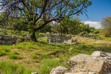 Fototapeta na wymiar park outdoor outskirts space environment with old destroyed stone wall ruins exterior landscape design and trees in clear bright summer weather time