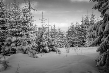 Winter in the Polish Tatra Mountains.