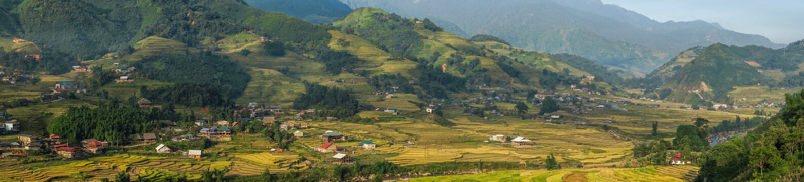 Beautiful Panorama Top view of growing golden paddy rice field in Tavan local village with fansipan mountain and cloudy sky in background, Sapa, Laocai , Northwest of Vietnam