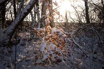 Winter, Eis und Schnee
