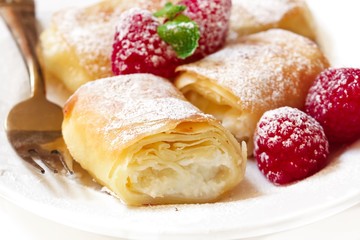 Close up of Cheese Blintz on white background, selective focus