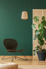 Empty green wall of elegant living room interior with wicker stylish armchair and rattan chandelier, real photo with copy space and monster plant in black pot