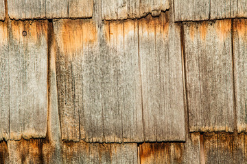 Old wood texture background