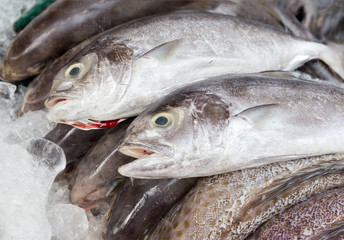 fresh fish seafood in market closeup background. Fresh fish in the market. High Angle Still Life of Variety of Raw Fresh Fish Chilling on Bed of Cold Ice in Seafood Market Stall with Copy Space