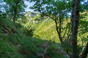 Sentiero 201 sul monte Nerone nelle marche