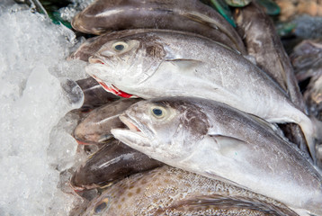 fresh fish seafood in market closeup background. Fresh fish in the market. High Angle Still Life of Variety of Raw Fresh Fish Chilling on Bed of Cold Ice in Seafood Market Stall with Copy Space