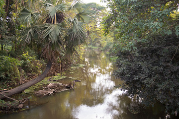 Riverview of  Siem Reap, Cambodia  has  a picturesque city centre