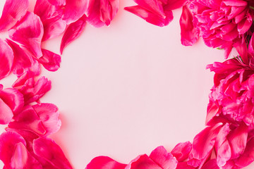 Flat lay composition with red petals on a light pink background