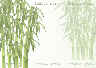 Fototapeta premium Abstract background of bamboo trees. Bamboo stalks. Vector illustration of tropical plants for your design.