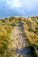 sandy pathway running through windy grass sand dunes, stormy sky, vertical format