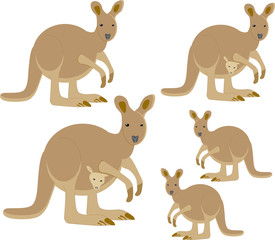 Kangaroo with a young kangaroo