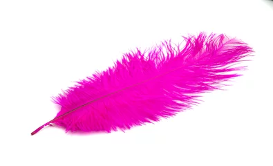 Fotobehang colored ostrich feathers isolated © ksena32