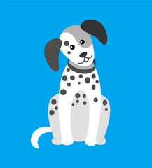 Dog Puppy with Spots Canine Wearing Collar on Neck