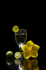 cocktail fres  lime background black