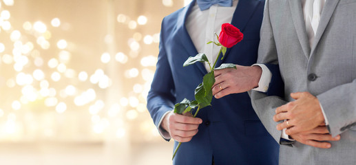 lgbt, homosexuality, same-sex marriage and love concept - close up of happy married male gay couple in suits with rose flower on wedding over festive lights background
