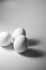 eggs on white background