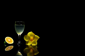 cocktail fres  lime background black