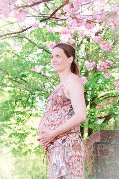 The beauty of pregnancy 2 - Nina