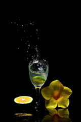 cocktail fres  lime background black