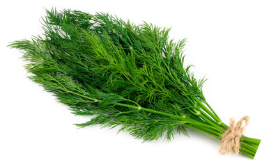 bunch fresh green dill isolated on white background