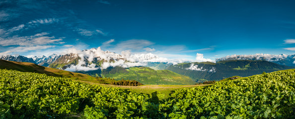 Panoramic view of green valley on mountains background. Overwhelming scenery of Georgian nature. Road crossing lowland. Green hills before the snow covered mounts. Cloudy blue sky.