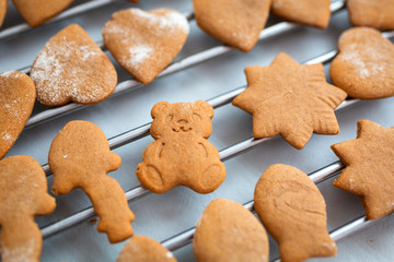 Freshly baked gingerbread cookies for Christmas