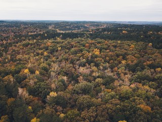 Fototapeta na wymiar Drone images of fall colors in the southeastern united states with multiple types of foliage.