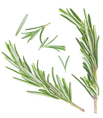 Fototapeta premium Rosemary on a white background. Top view.