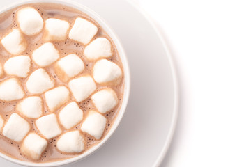 Fototapeta na wymiar Round Mug of Hot Chocolate Topped with Small White Marshmallows