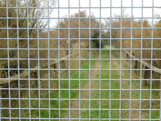 Obraz premium griglia cancello